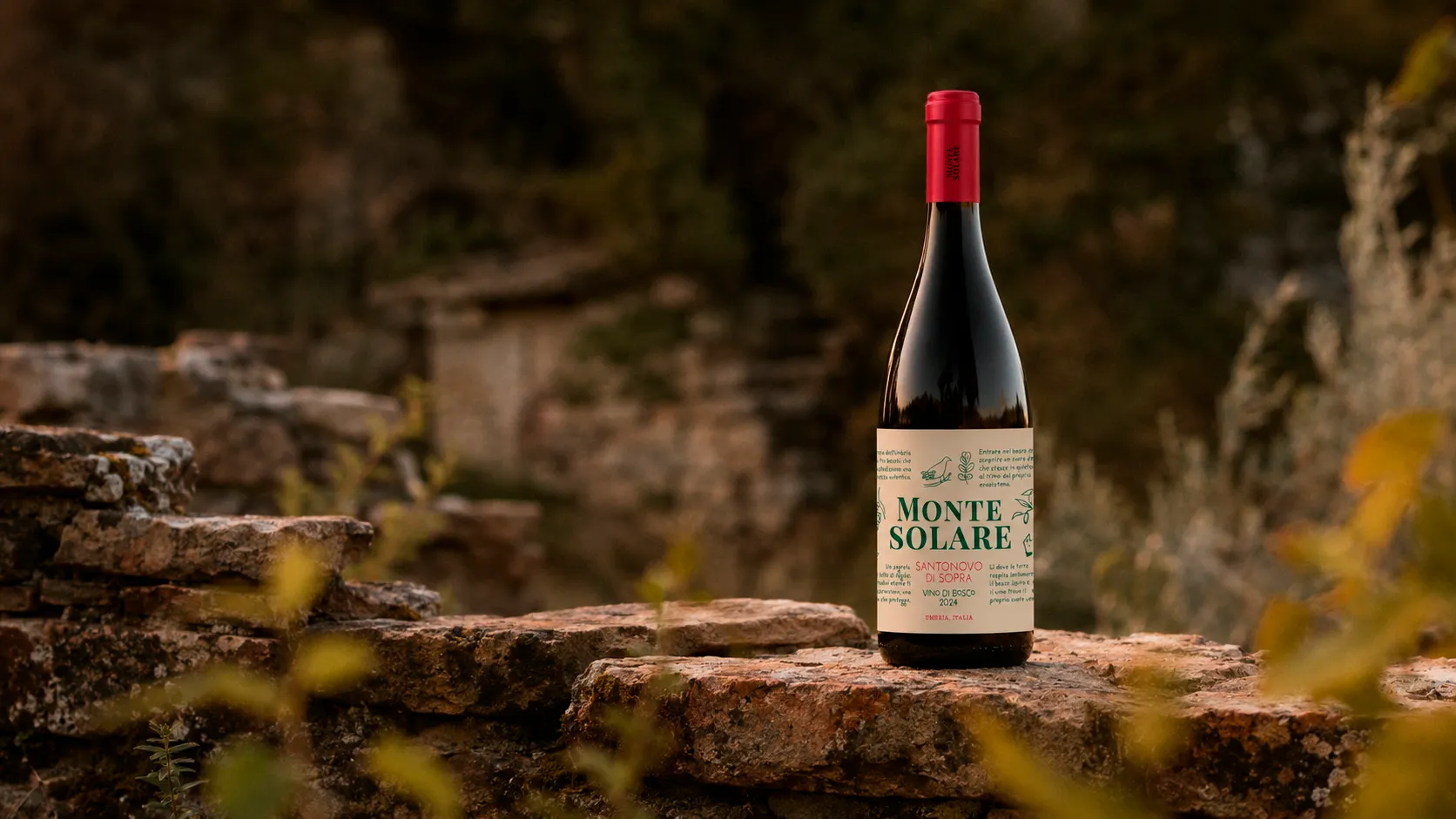 La bottiglia di Monte Solare appoggiata su un muretto a secco, con il bosco alle spalle